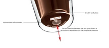 Bodum Doppeltwandige Kaffee- und Teegläser Kanne - Patentiertes Ventil - 200 ml - 6 Stück