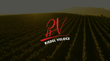 Riedel Weingläser Set - Champagnergläser - Veloce - 570 ml - 4 Stück